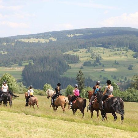 Domek Pod Zielonym Lasem Zakopane Luaran gambar
