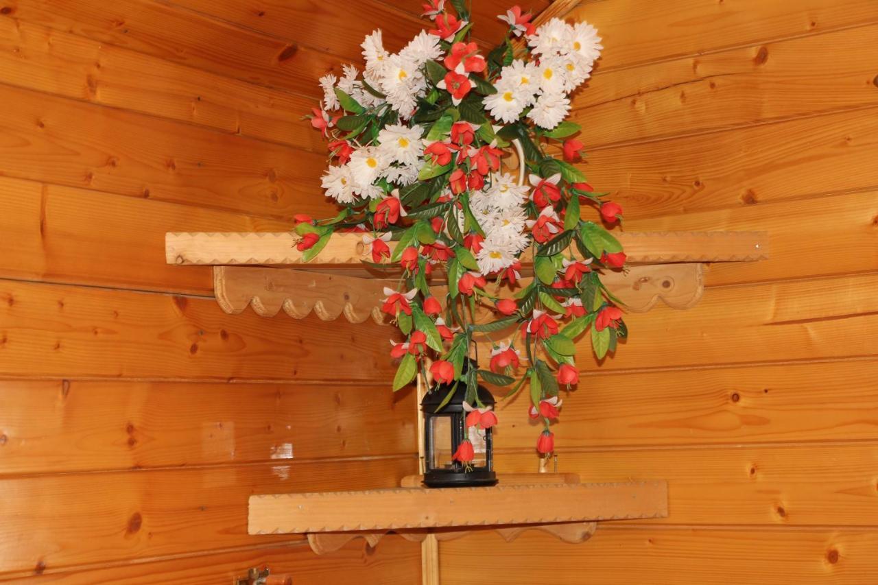 Domek Pod Zielonym Lasem Zakopane Luaran gambar