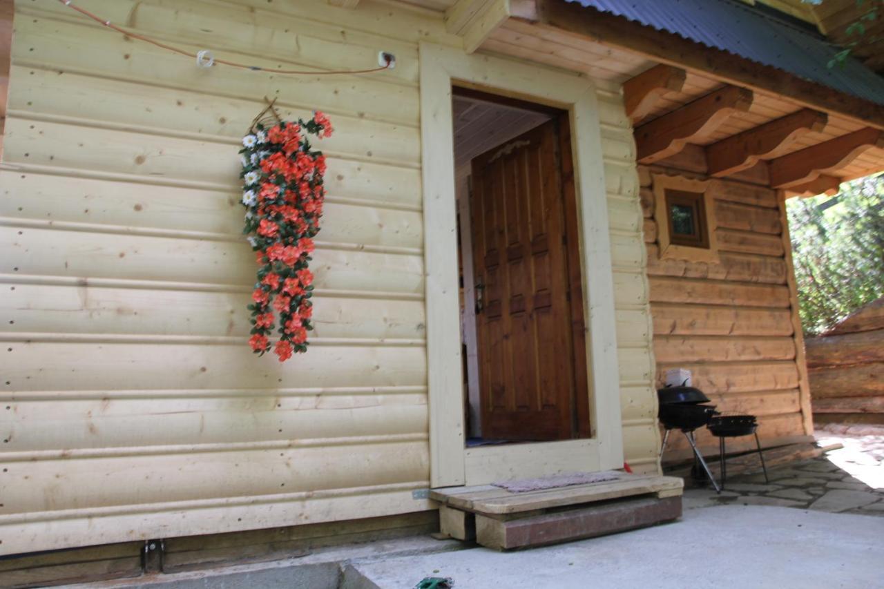 Domek Pod Zielonym Lasem Zakopane Luaran gambar