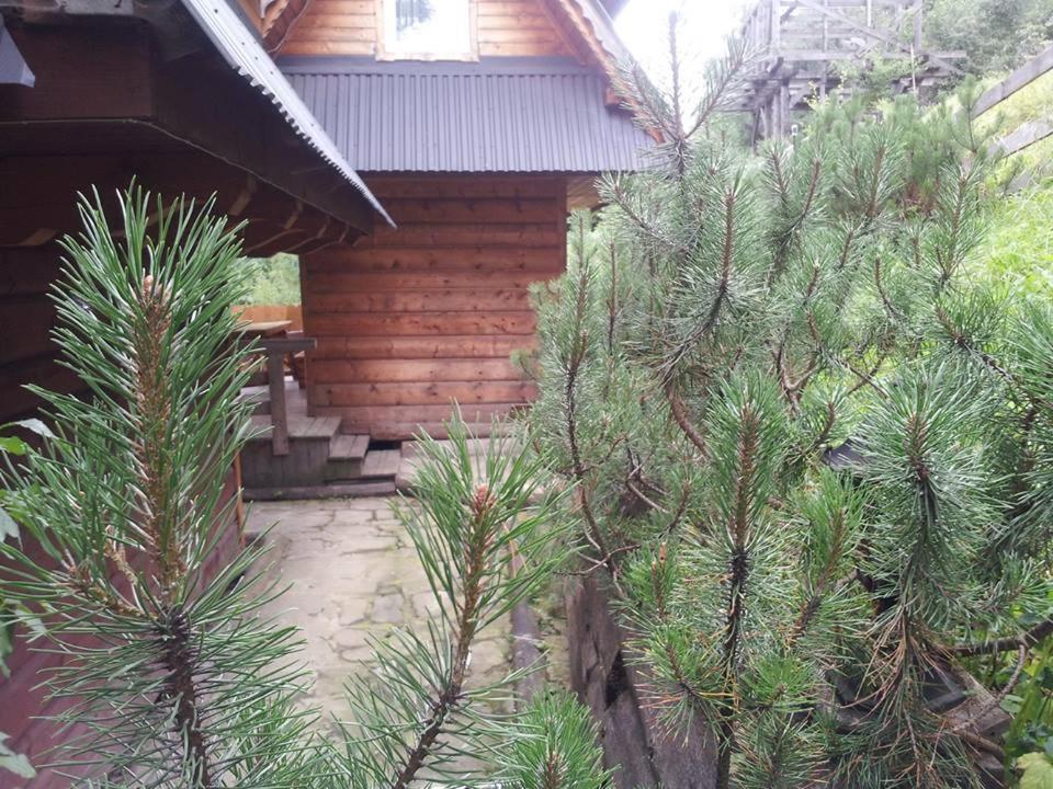 Domek Pod Zielonym Lasem Zakopane Luaran gambar